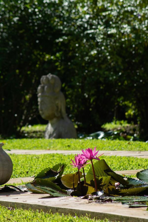 Lanna Ban Hotel Puerto Viejo de Talamanca エクステリア 写真
