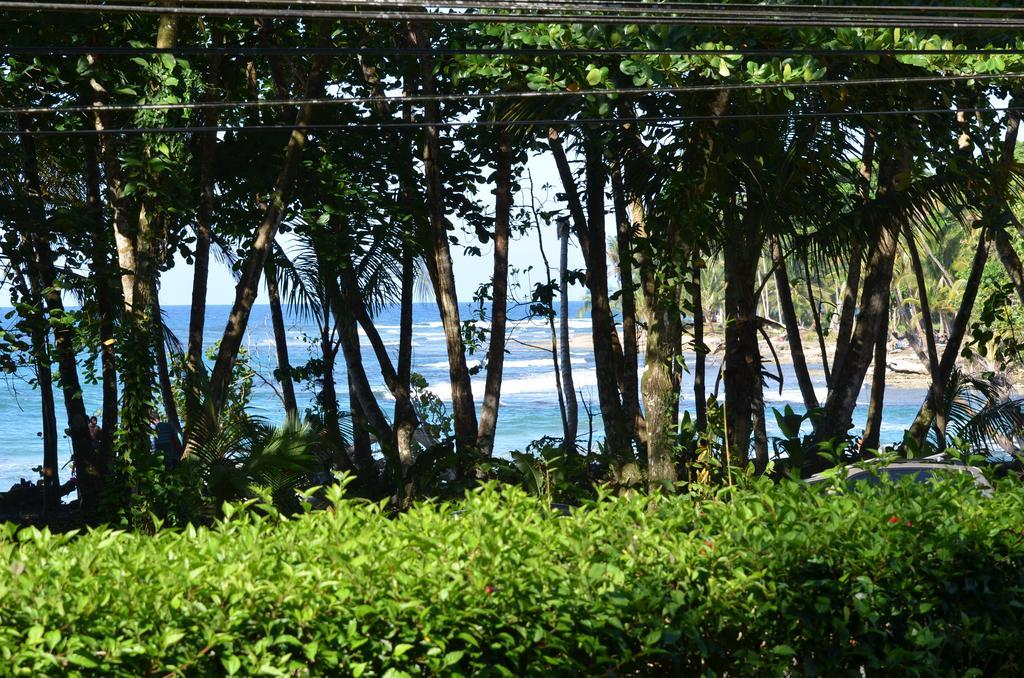 Lanna Ban Hotel Puerto Viejo de Talamanca エクステリア 写真