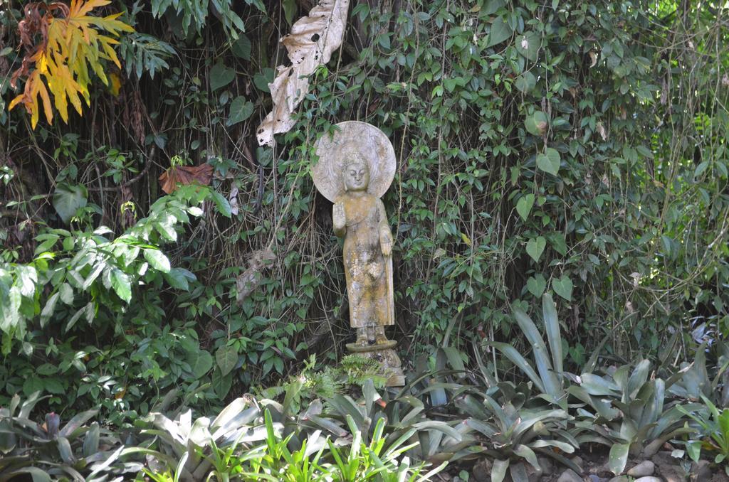 Lanna Ban Hotel Puerto Viejo de Talamanca エクステリア 写真