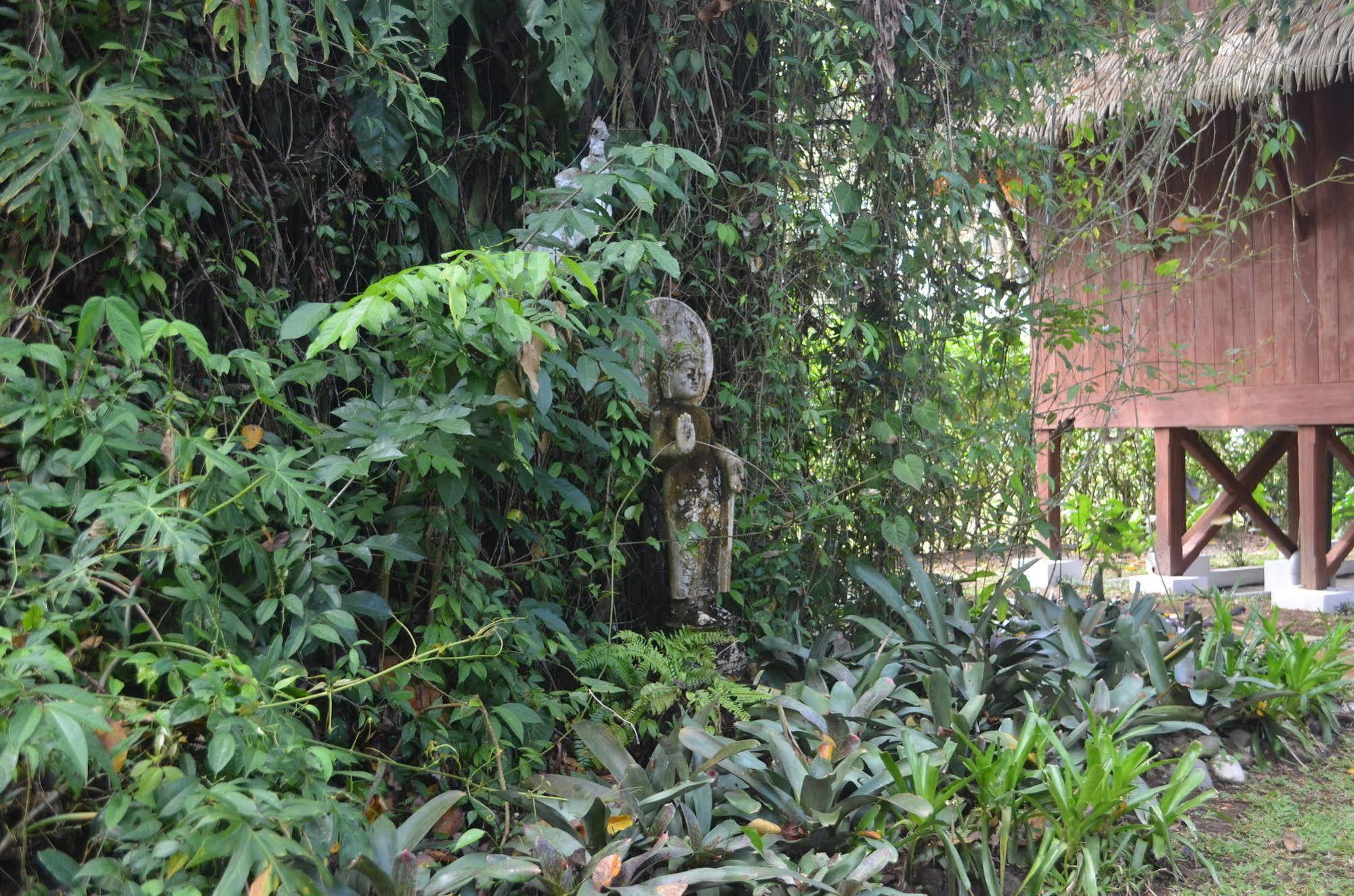 Lanna Ban Hotel Puerto Viejo de Talamanca エクステリア 写真